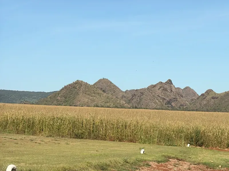 Fazenda em Jussara/Goiás — Ref FIB9IZ — Imagem 24