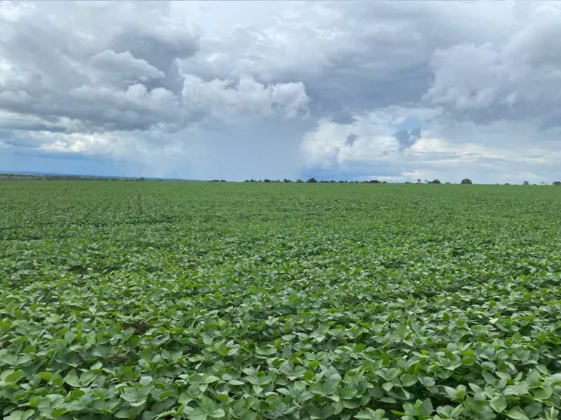 Fazenda em Jussara/Goiás — Ref FIB9IZ — Imagem 26