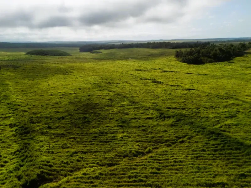 Fazenda em Caxias/Maranhão — Ref YGM9JD — Imagem 2