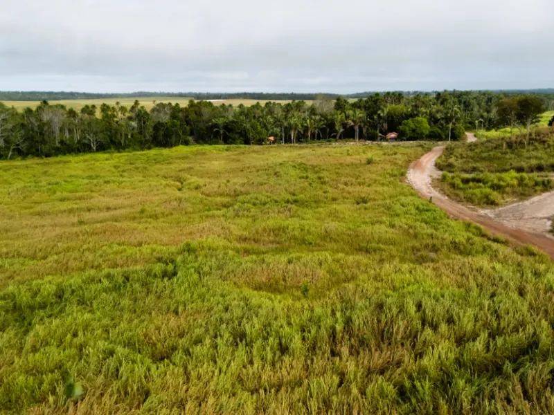Fazenda em Caxias/Maranhão — Ref YGM9JD — Imagem 3