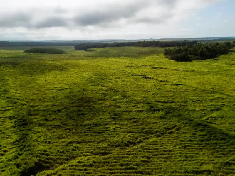 Fazenda em Caxias/Maranhão — Ref YGM9JD — Imagem 5