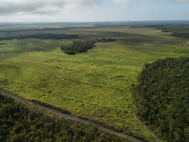 Fazenda em Caxias/Maranhão — Ref YGM9JD — Imagem 7