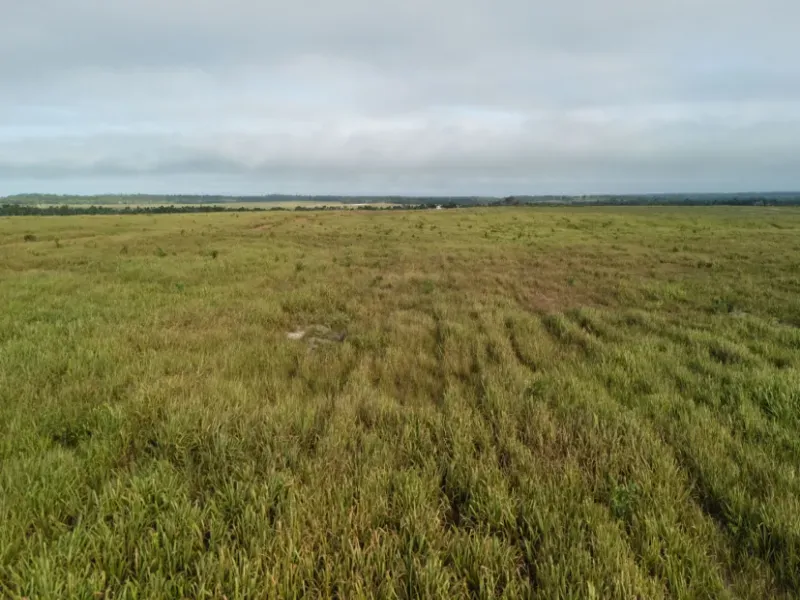 Fazenda em Caxias/Maranhão — Ref YGM9JD — Imagem 8