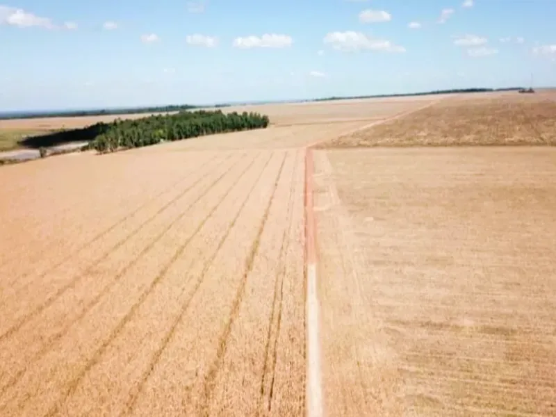 Fazenda em Santa Terezinha/Mato Grosso — Ref ZQR70R — Imagem 2