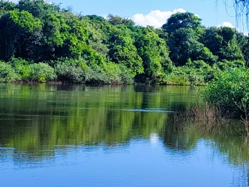 Fazenda em Santa Terezinha/Mato Grosso — Ref ZQR70R — Imagem 11