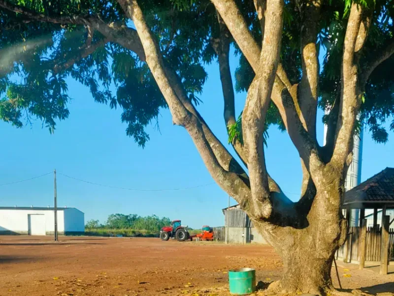 Fazenda em Santa Terezinha/Mato Grosso — Ref ZQR70R — Imagem 13