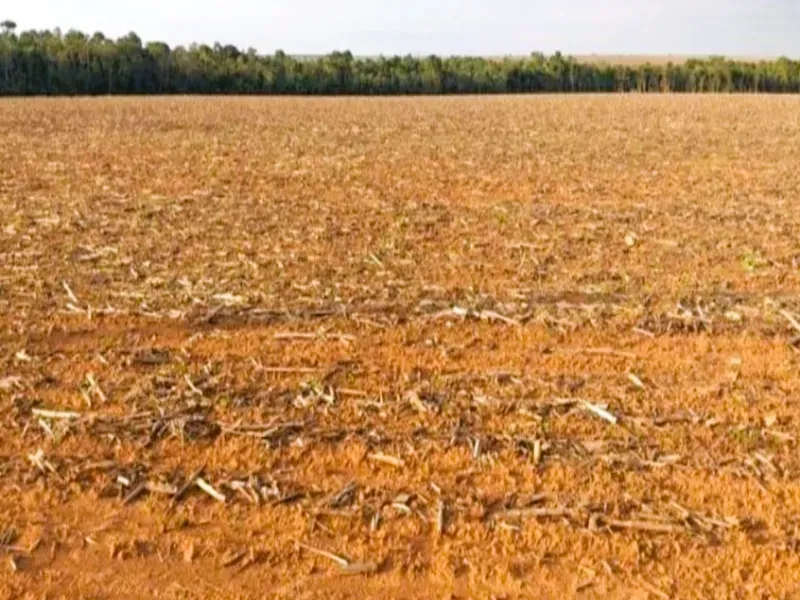 Fazenda em Santa Terezinha/Mato Grosso — Ref ZQR70R — Imagem 15