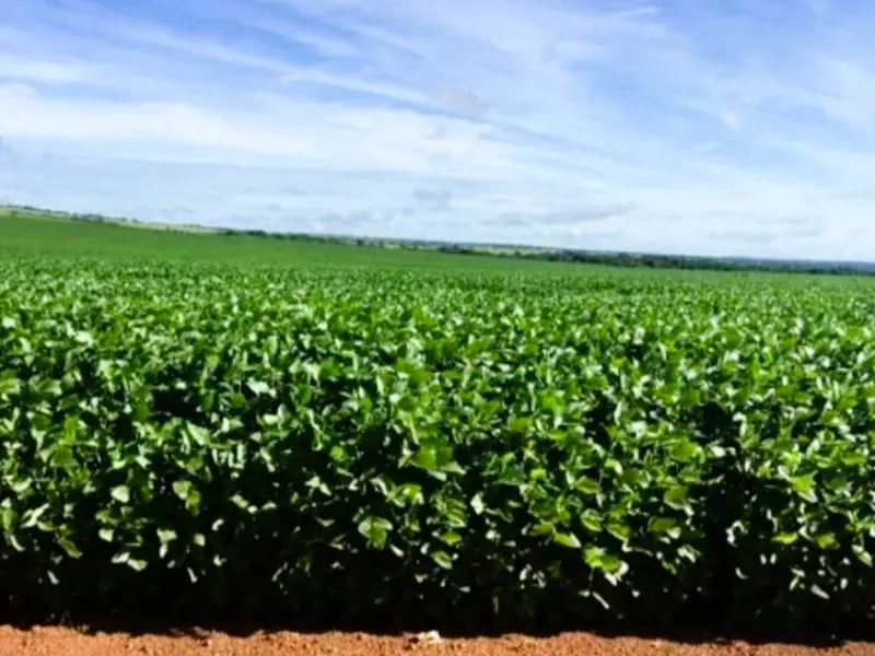 Fazenda em Santa Terezinha/Mato Grosso — Ref ZQR70R — Imagem 16