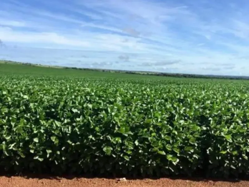 Fazenda em Santa Terezinha/Mato Grosso — Ref ZQR70R — Imagem 18