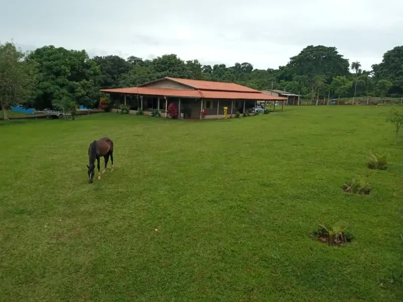 Fazenda em Uberaba/Minas Gerais — Ref 4TVXEI — Imagem 2