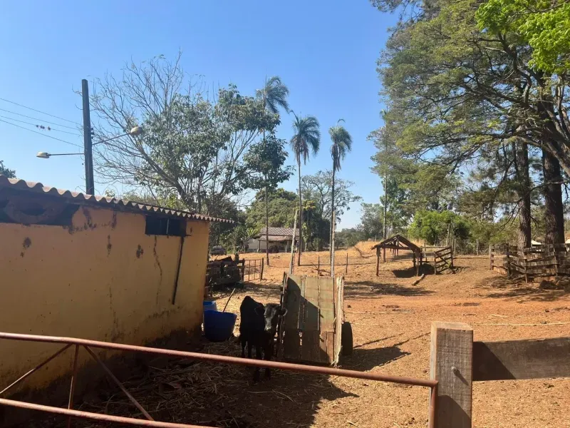 Fazenda em Uberaba/Minas Gerais — Ref 4TVXEI — Imagem 15