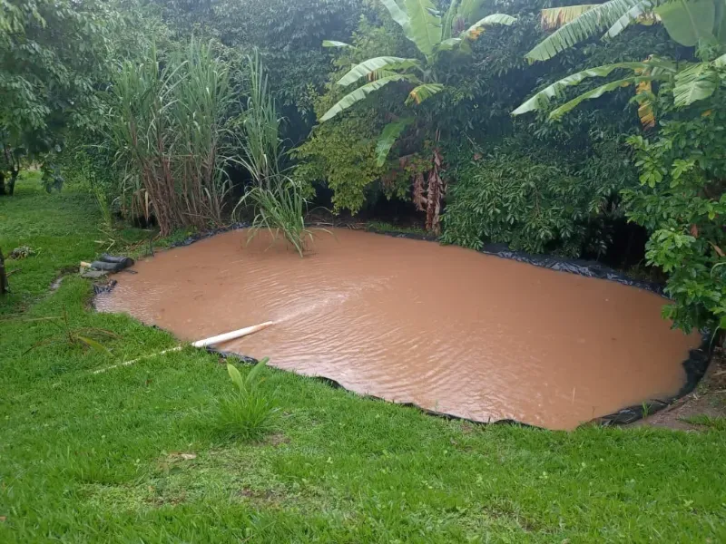 Fazenda em Uberaba/Minas Gerais — Ref 4TVXEI — Imagem 25