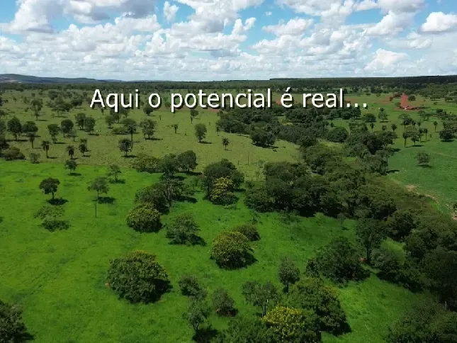 Fazenda em Biquinhas/Minas Gerais — Ref UIPT4F — Imagem 11