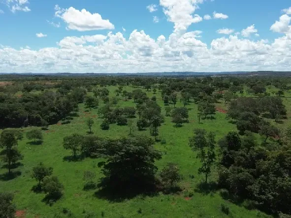 Fazenda em Biquinhas/Minas Gerais — Ref UIPT4F — Imagem 13