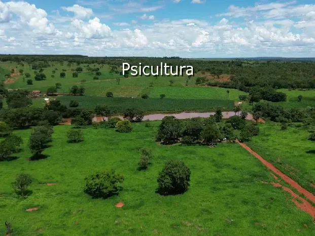 Fazenda em Biquinhas/Minas Gerais — Ref UIPT4F — Imagem 16