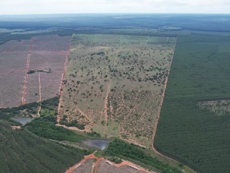 Fazenda em Ribas do Rio Pardo/Mato Grosso do Sul — Ref B0Q3JP — Imagem 4