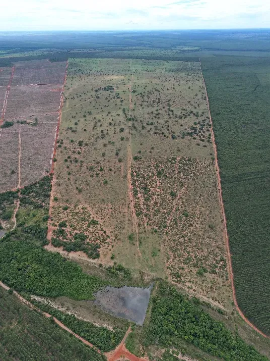 Fazenda em Ribas do Rio Pardo/Mato Grosso do Sul — Ref B0Q3JP — Imagem 5