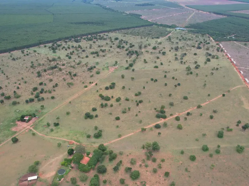 Fazenda em Ribas do Rio Pardo/Mato Grosso do Sul — Ref B0Q3JP — Imagem 7