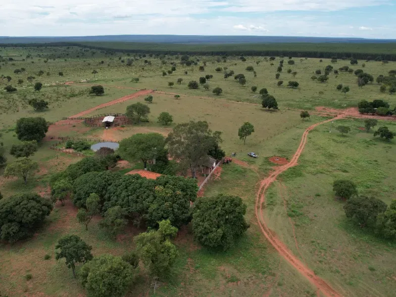 Fazenda em Ribas do Rio Pardo/Mato Grosso do Sul — Ref B0Q3JP — Imagem 13