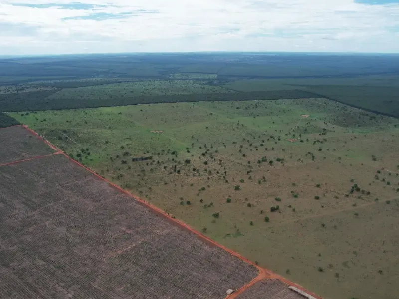 Fazenda em Ribas do Rio Pardo/Mato Grosso do Sul — Ref B0Q3JP — Imagem 15