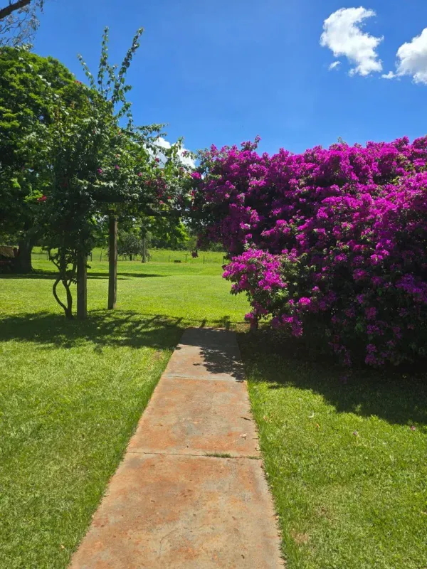 Fazenda em Rochedo/Mato Grosso do Sul — Ref XHPB48 — Imagem 4