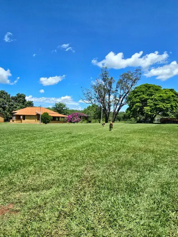 Fazenda em Rochedo/Mato Grosso do Sul — Ref XHPB48 — Imagem 5