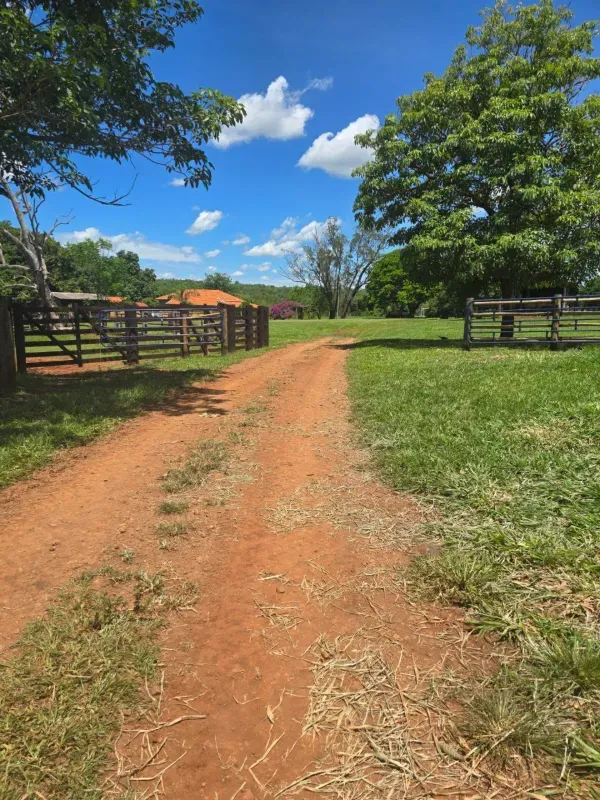 Fazenda em Rochedo/Mato Grosso do Sul — Ref XHPB48 — Imagem 8