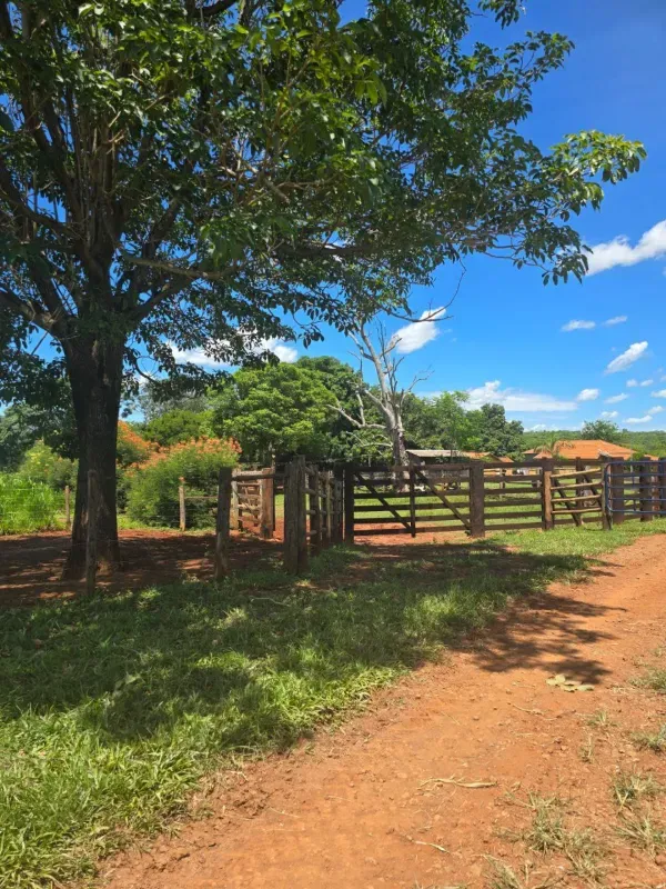 Fazenda em Rochedo/Mato Grosso do Sul — Ref XHPB48 — Imagem 9