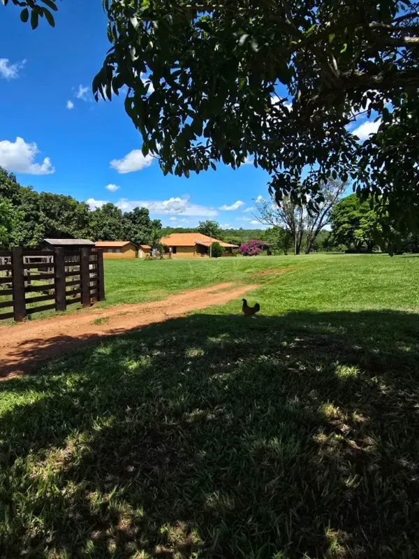 Fazenda em Rochedo/Mato Grosso do Sul — Ref XHPB48 — Imagem 10