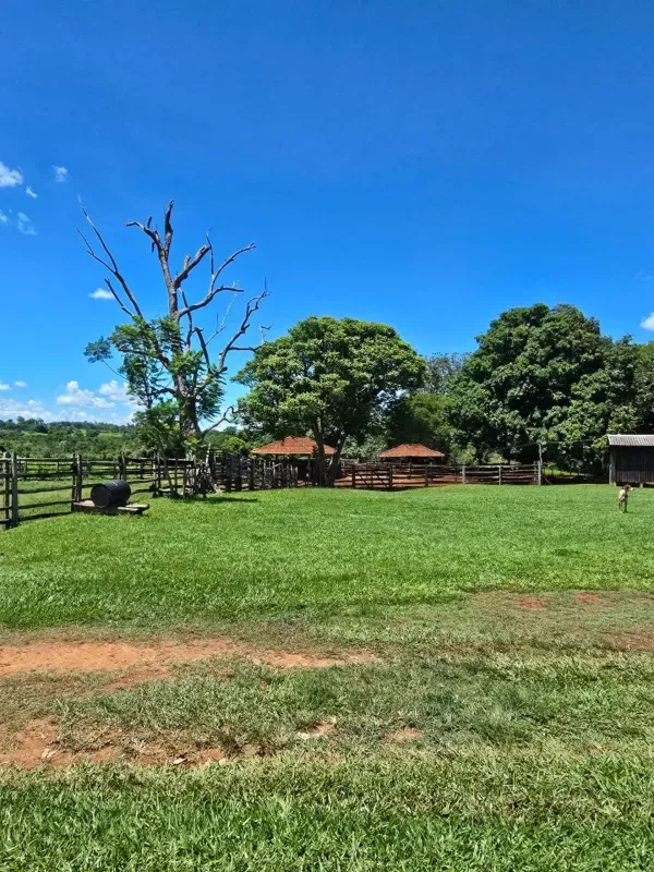 Fazenda em Rochedo/Mato Grosso do Sul — Ref XHPB48 — Imagem 11