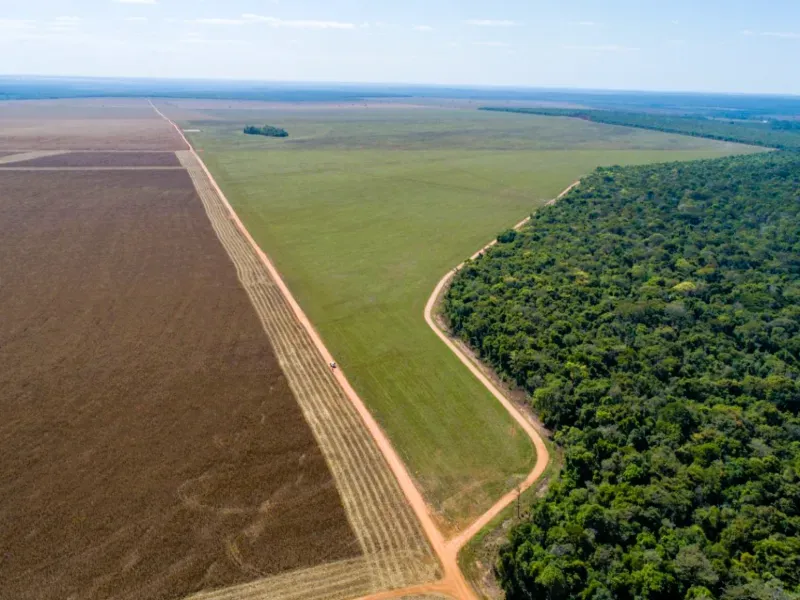 Fazenda em Campo Novo do Parecis/Mato Grosso — Ref N74BO6 — Imagem 2