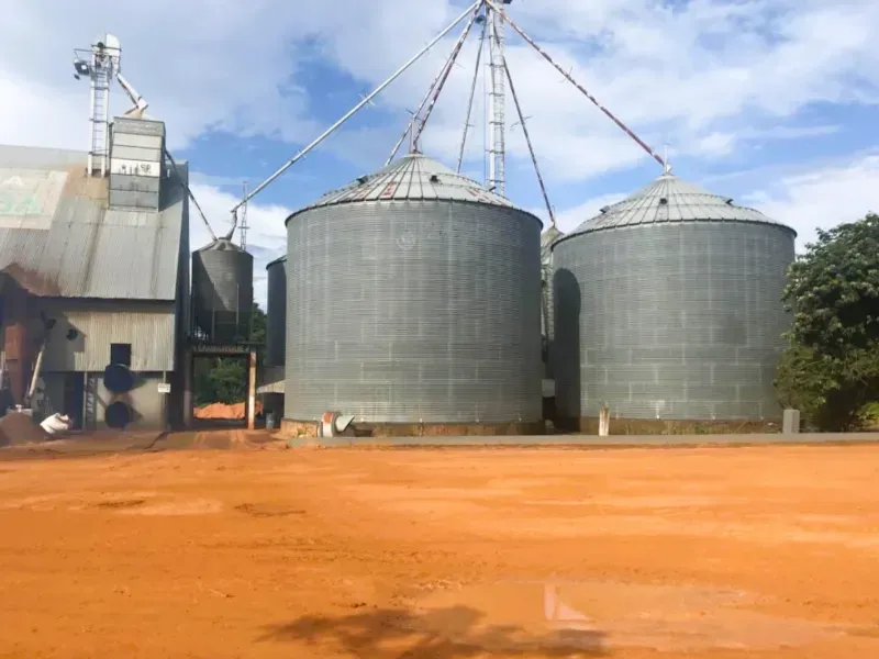 Fazenda em Campo Novo do Parecis/Mato Grosso — Ref N74BO6 — Imagem 3