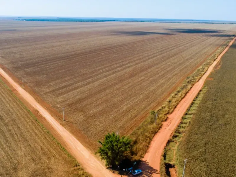 Fazenda em Campo Novo do Parecis/Mato Grosso — Ref N74BO6 — Imagem 4