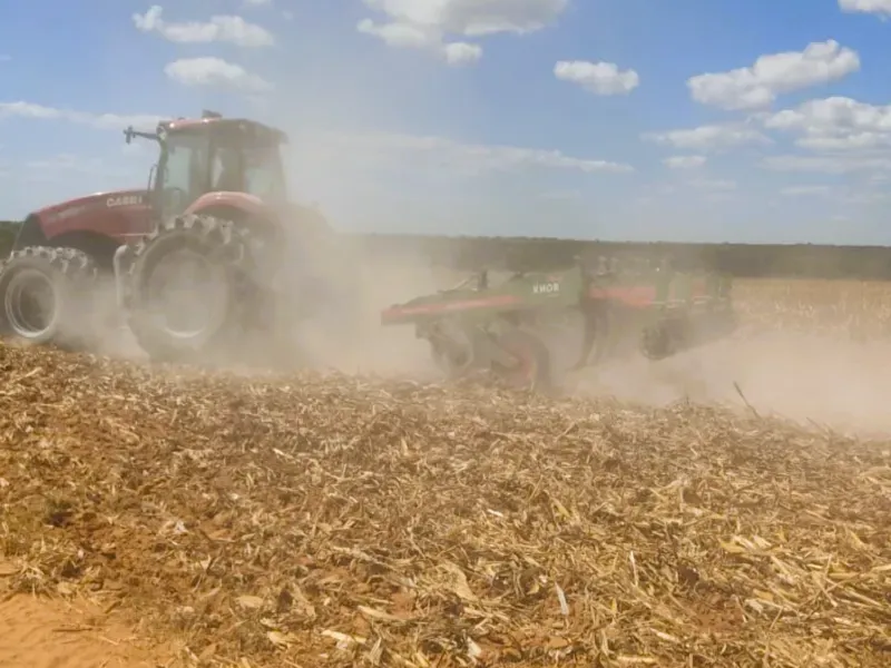 Fazenda em Campo Novo do Parecis/Mato Grosso — Ref N74BO6 — Imagem 7