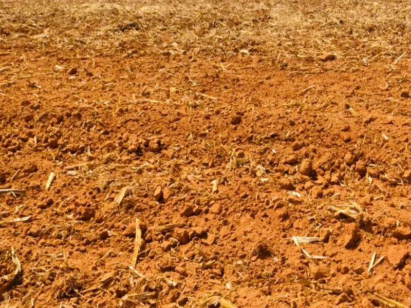 Fazenda em Campo Novo do Parecis/Mato Grosso — Ref N74BO6 — Imagem 13