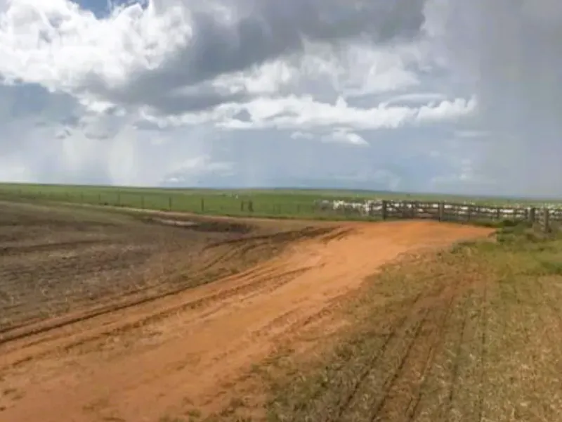 Fazenda em Campo Novo do Parecis/Mato Grosso — Ref N74BO6 — Imagem 14