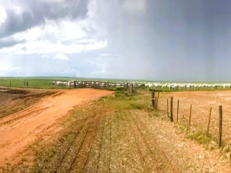 Fazenda em Campo Novo do Parecis/Mato Grosso — Ref N74BO6 — Imagem 15