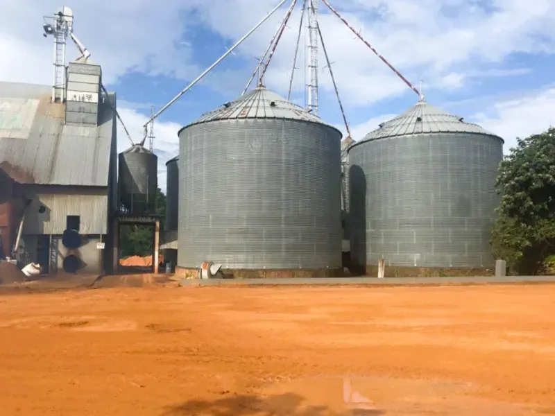 Fazenda em Campo Novo do Parecis/Mato Grosso — Ref N74BO6 — Imagem 16