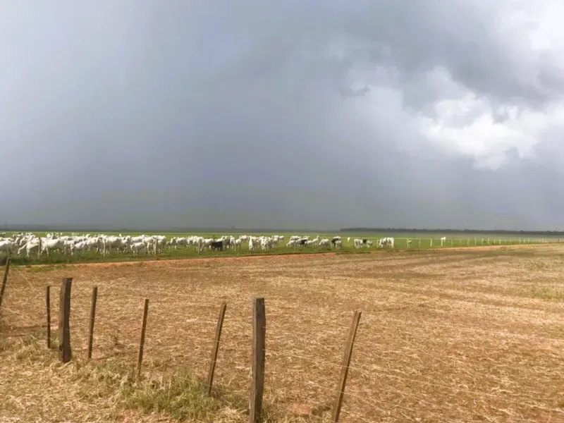 Fazenda em Campo Novo do Parecis/Mato Grosso — Ref N74BO6 — Imagem 17