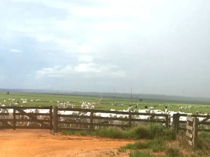 Fazenda em Campo Novo do Parecis/Mato Grosso — Ref N74BO6 — Imagem 18