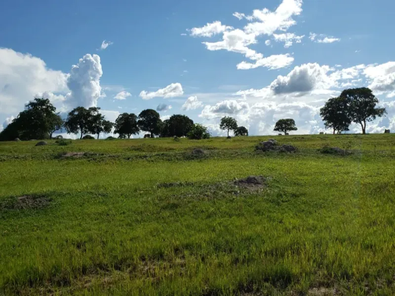 Fazenda em Piranhas/Goiás — Ref 93UYS3 — Imagem 5