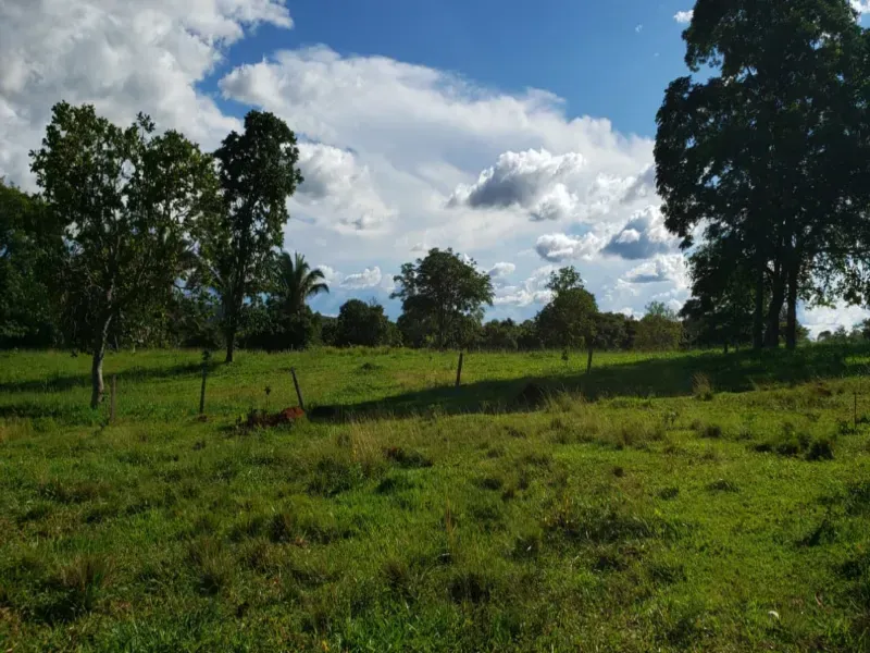 Fazenda em Piranhas/Goiás — Ref 93UYS3 — Imagem 8