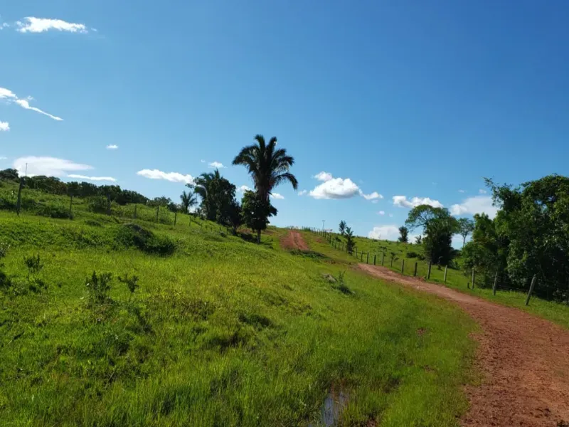 Fazenda em Piranhas/Goiás — Ref 93UYS3 — Imagem 9
