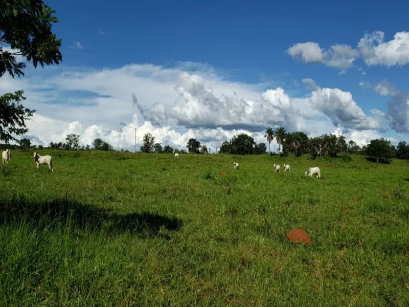 Fazenda em Piranhas/Goiás — Ref 93UYS3 — Imagem 11