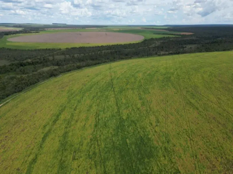 Fazenda em Formosa/Goiás — Ref 5IUCXC — Imagem 7