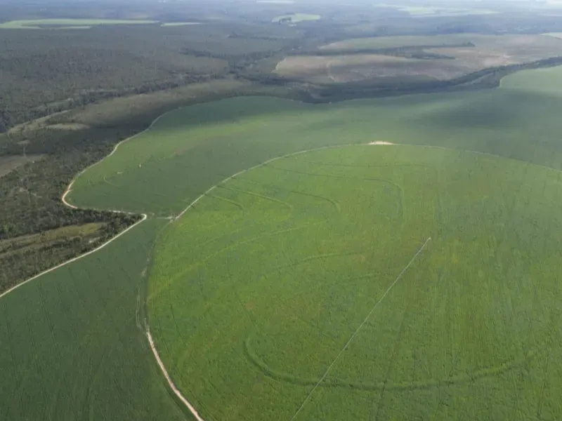 Fazenda em Formosa/Goiás — Ref 5IUCXC — Imagem 8