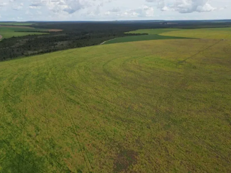 Fazenda em Formosa/Goiás — Ref 5IUCXC — Imagem 9