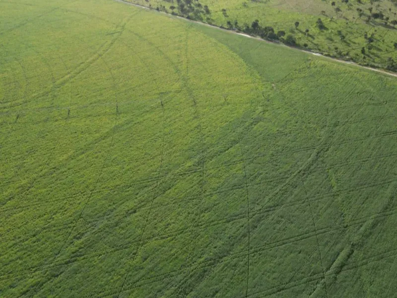 Fazenda em Formosa/Goiás — Ref 5IUCXC — Imagem 10