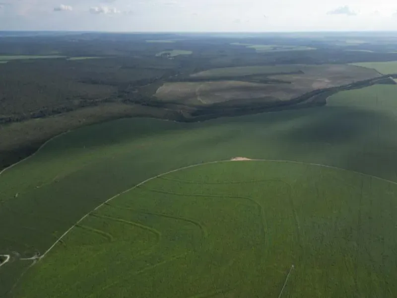 Fazenda em Formosa/Goiás — Ref 5IUCXC — Imagem 11