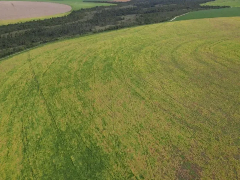 Fazenda em Formosa/Goiás — Ref 5IUCXC — Imagem 12